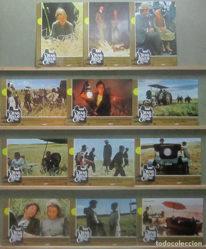 Cinema: YR53 DIAS DEL CIELO RICHARD GERE TERRENCE MALICK SET COMPLETO 12 FOTOCROMOS ORIGINAL ESTRENO