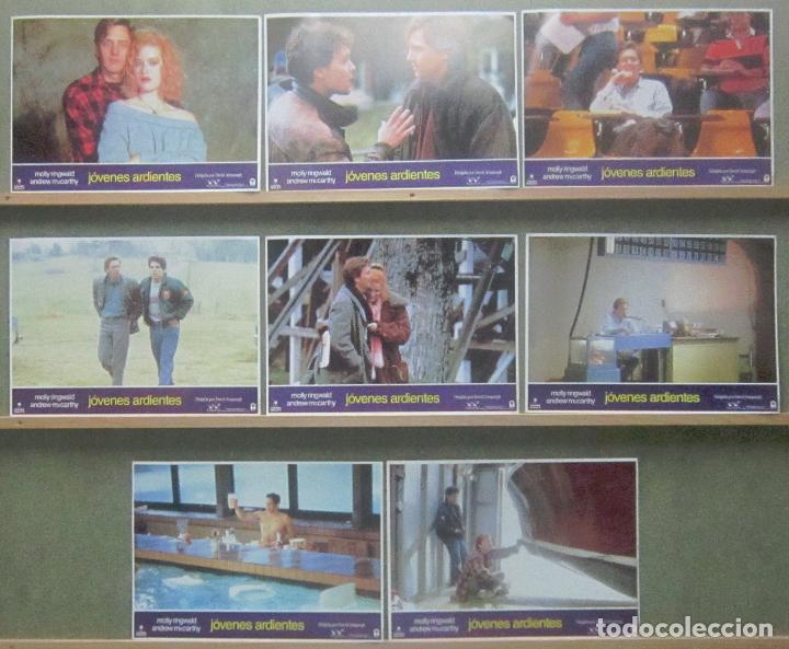 Cinema: YR54 JOVENES ARDIENTES MOLLY RINGWALD ANDREW MCCARTHY SET COMPLETO DE 8 FOTOCROMOS ORIGINAL ESTRENO