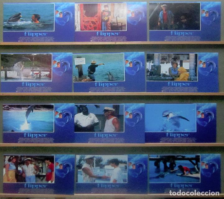 Cinema: YR59 FLIPPER ELIJAH WOOD PAUL HOOGAN SET COMPLETO 12 FOTOCROMOS ORIGINAL ESTRENO