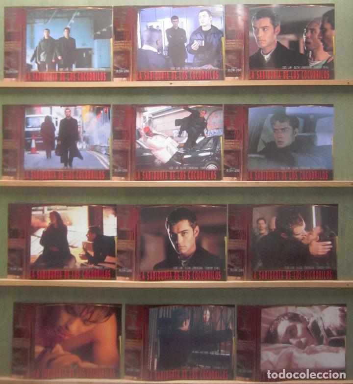 Cinema: YR84 LA SABIDURIA DE LOS COCODRILOS JUDE LAW PO CHIH LEONG SET COMPLETO 12 FOTOCROMOS ORIG ESTRENO