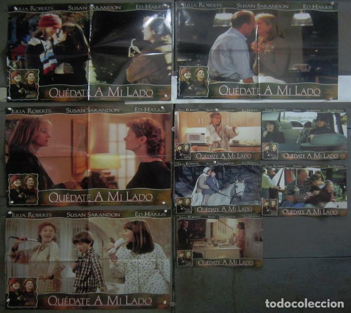 Kino: YS31 QUEDATE A MI LADO JULIA ROBERTS SUSAN SARANDON SET COMPLETO 8 FOTOCROMOS ORIGINAL ESTRENO