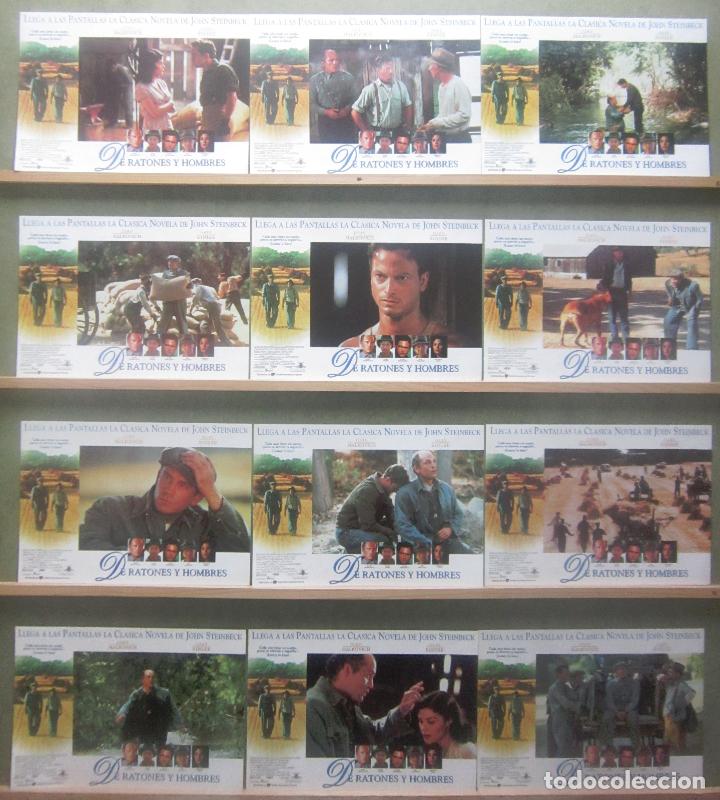 Cinema: YS75 DE RATONES Y HOMBRES JOHN MALKOVICH STEINBECK SET 12 FOTOCROMOS ORIGINAL ESTRENO