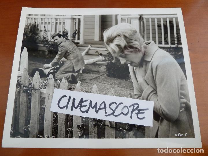 Cine: los pajaros the birds alfred hitchcock tippi hedren foto americana original del estreno