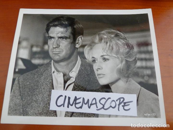 Cine: los pajaros the birds alfred hitchcock tippi hedren rod taylor foto americana original del estreno