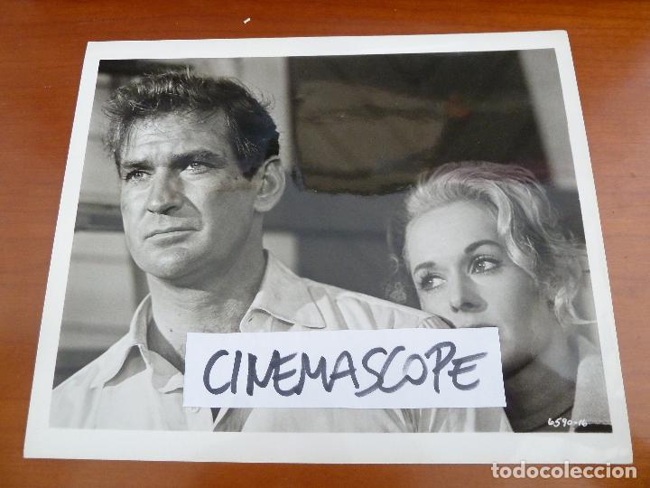 Cine: los pajaros the birds alfred hitchcock tippi hedren rod taylor foto americana original del estreno
