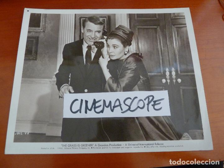 Cine: pagina en blanco the grass is greener cary grant jean simmons foto americana original del estreno