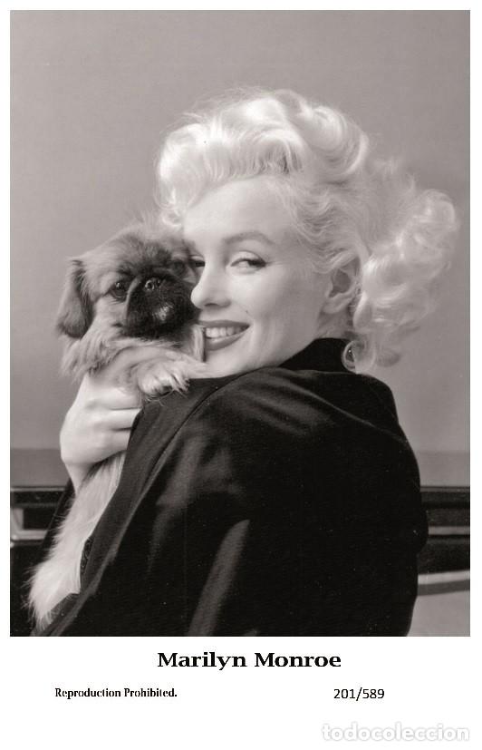 Cine: MARILYN MONROE - Film star Pin Up PHOTO POSTCARD - 201-589 Swiftsure Postcard