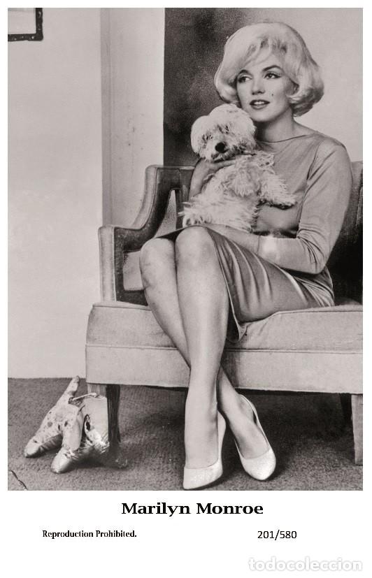 Cine: MARILYN MONROE - Film star Pin Up PHOTO POSTCARD - 201-580 Swiftsure Postcard