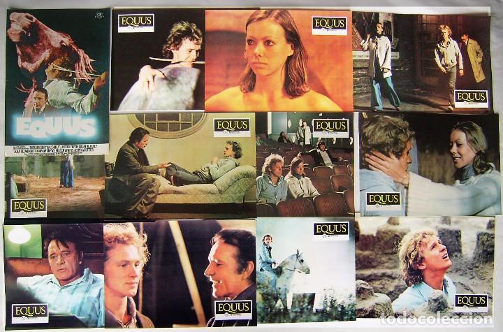 Cinema: EQUUS, con Richard Burton. 12 FOTOCROMOS