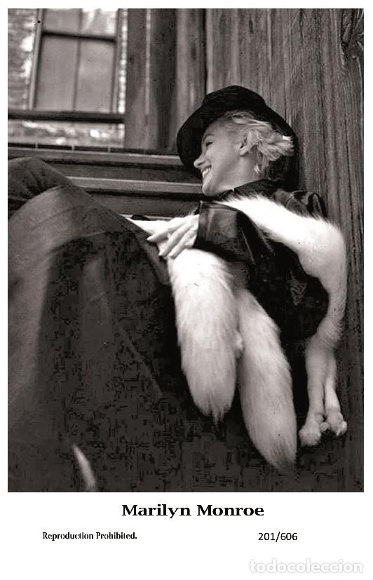 Cine: MARILYN MONROE - Film star Pin Up PHOTO POSTCARD - 201-606 Swiftsure Postcard