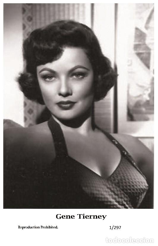 Cin&eacute;ma: GENE TIERNEY - Film star Pin Up PHOTO POSTCARD - 1-297 Swiftsure Postcard