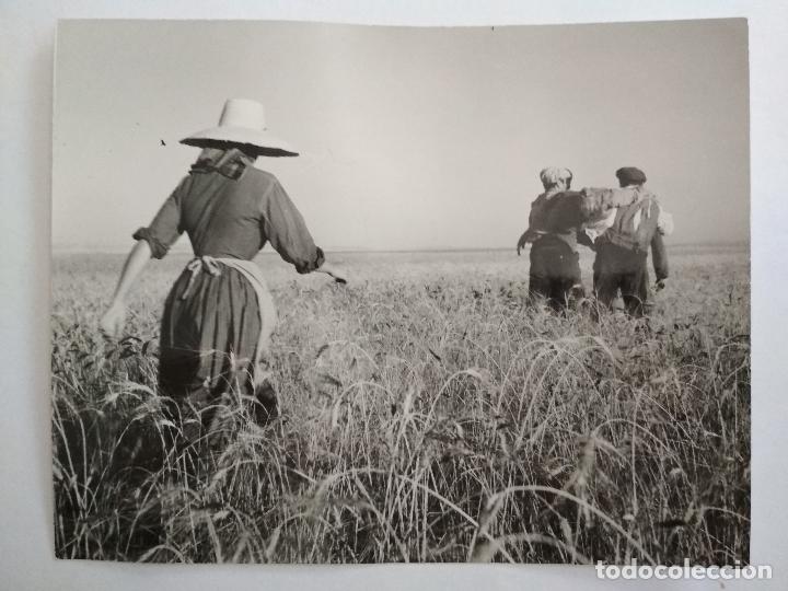 Cine: FOTOGRAFIA CARMEN SEVILLA CAMINANDO DE ESPALDAS, EN UNA ESCENA DE LA PELICULA, LA VENGANZA