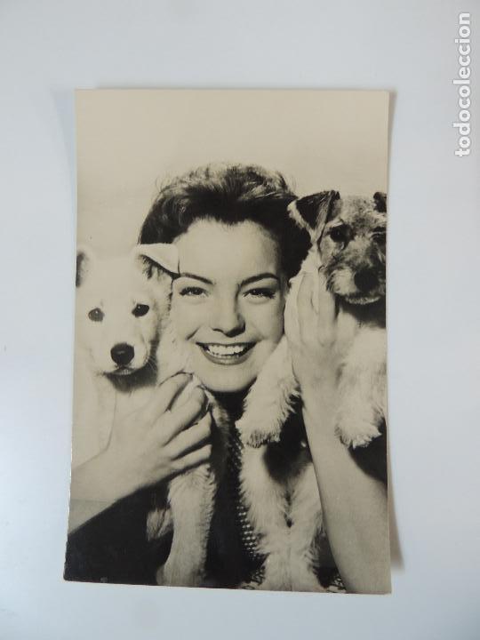 Cine: romy schneider - postal original b/n - two dogs