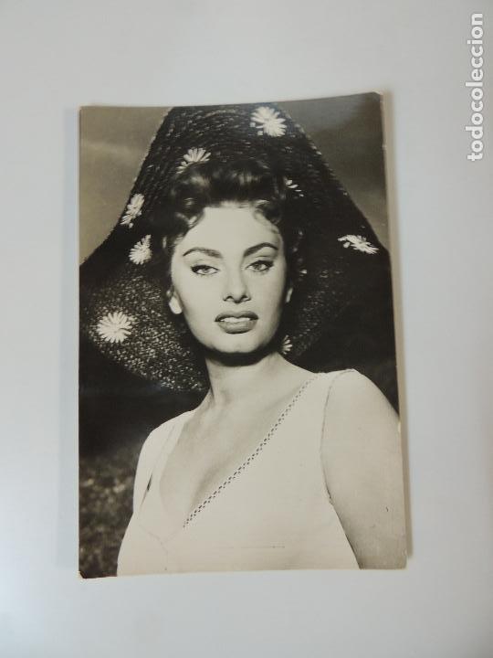Cine: sofia sophia loren - postal original b/n - hat sombrero