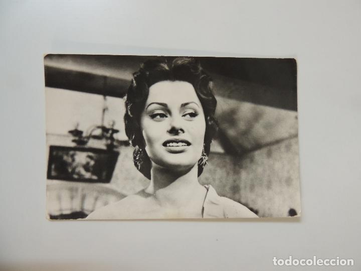 Cine: sofia sophia loren - postal original b/n
