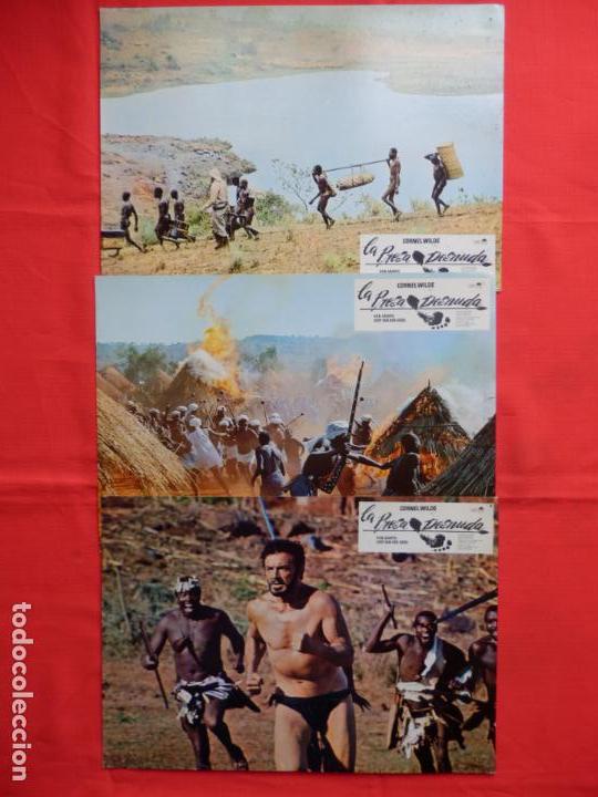 Kino: la presa desnuda, 3 fotocromos, kem gampu gert van den berg