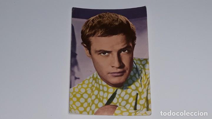 Cine: ANTIGUA POSTAL TARJEFHER N&ordm; 5005 DEL ACTOR MARLON BRANDO - ED. FHER - A&Ntilde;OS 60