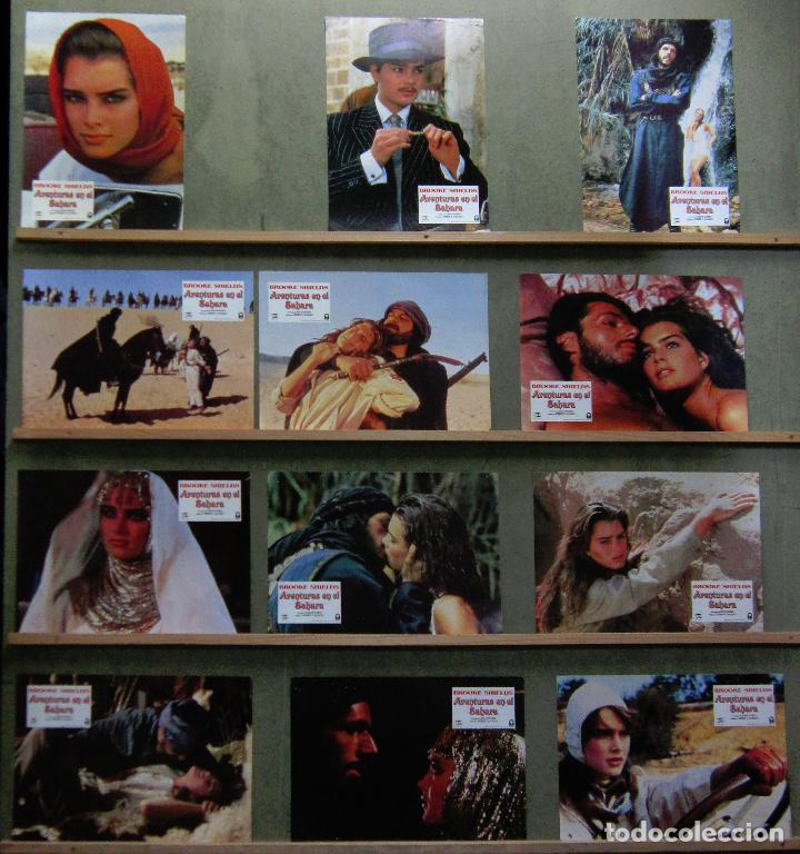 Cinema: ZA29 AVENTURAS EN EL SAHARA BROOKE SHIELDS SET COMPLETO 12 FOTOCROMOS ORIGINAL ESTRENO