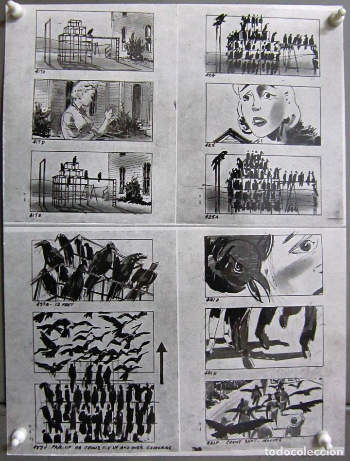 Cine: F28726 LOS PAJAROS ALFRED HITCHCOCK FOTO B/N ORIGINAL ESPA&Ntilde;OLA