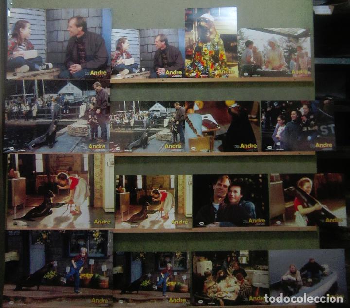 Cine: ACZ99 ANDRE KEITH CARRADINE FOCA SET 16 FOTOCROMOS ORIGINAL ALEMAN