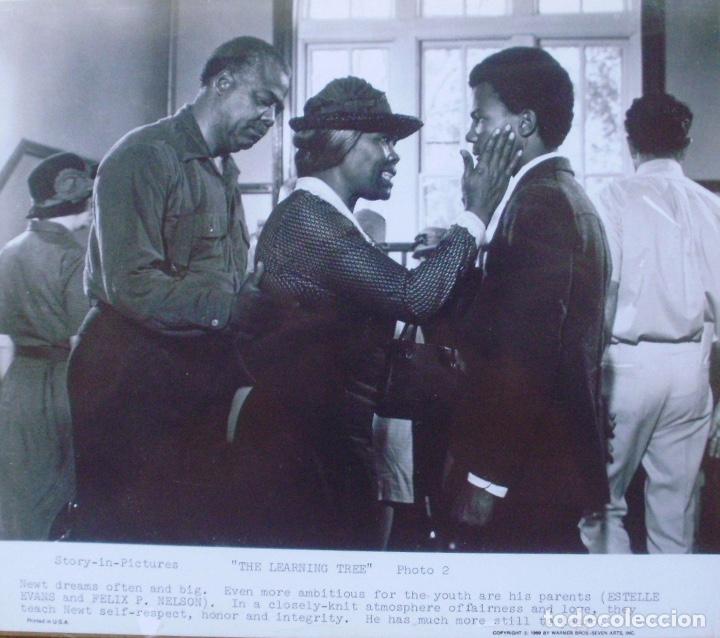 Cinema: Photo Print ,The Learning Tree, Story-in-Pictures, Photo 2