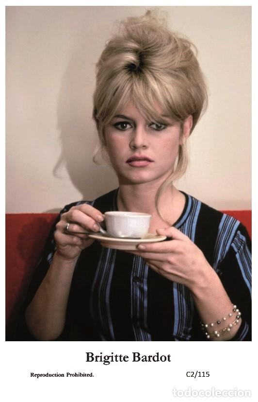 Brigitte Bardot Film Star Pin Up Photo Postca Comprar Fotos Y Postales De Actores Y Actrices