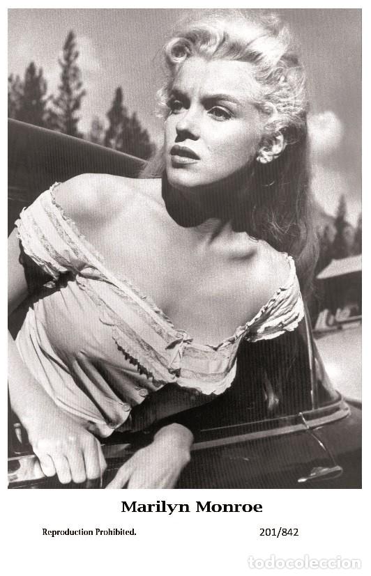Cine: MARILYN MONROE - Film star Pin Up PHOTO POSTCARD - 201-842 Swiftsure Postcard