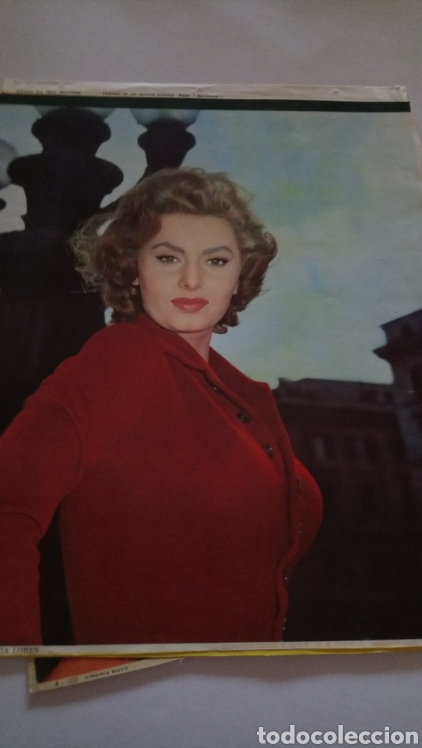 Cine: Sof&iacute;a Loren foto calendario