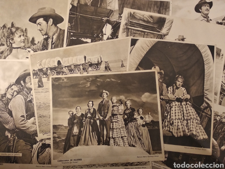 cine. caravana de mujeres. 1951. robert taylor Buy Photos