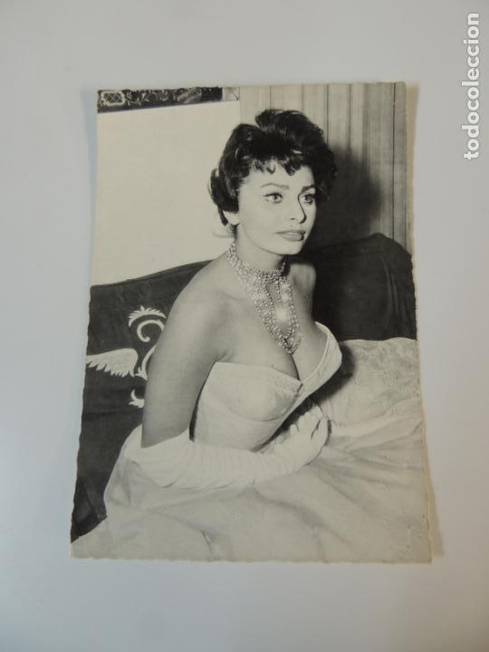 Cine: sofia sophia loren - POSTAL ORIGINAL b/n troquelada