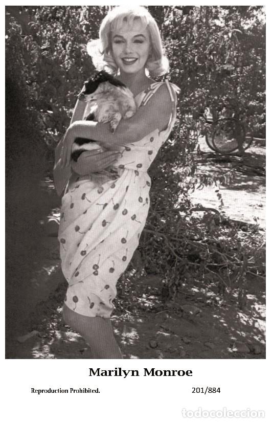 Cine: MARILYN MONROE - Film star Pin Up PHOTO POSTCARD - 201-884 Swiftsure Postcard