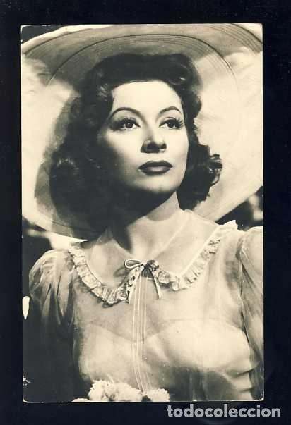 Cine: Foto-Postal de artista de cine: GREER GARSON (Falgra)