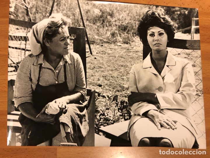 Cine: Foto original de Sof&iacute;a loren 24x18 cm