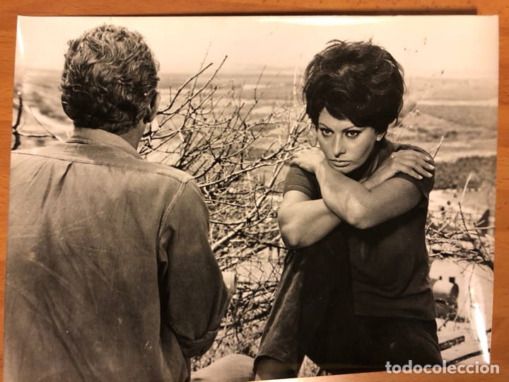 Cine: Foto original de Sof&iacute;a loren 24x18 cm