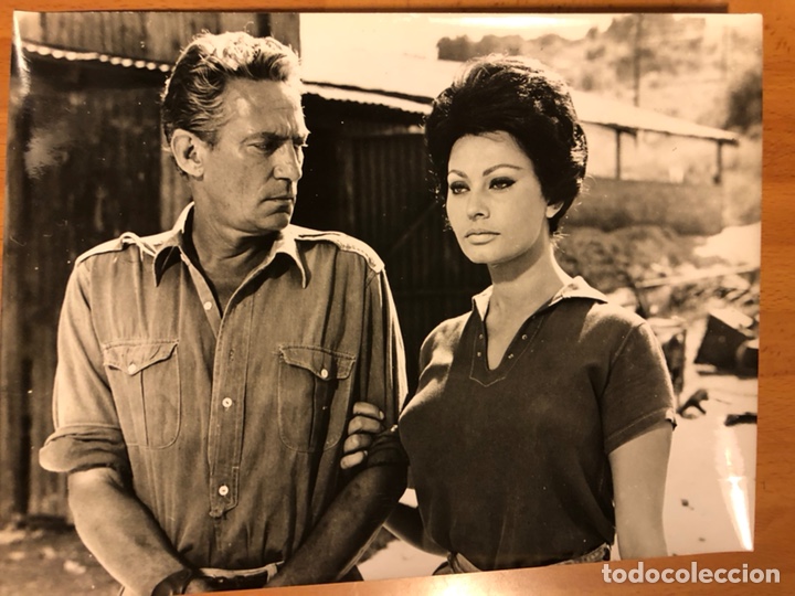 Cine: Foto original de Sof&iacute;a loren peter finch 24x18 cm