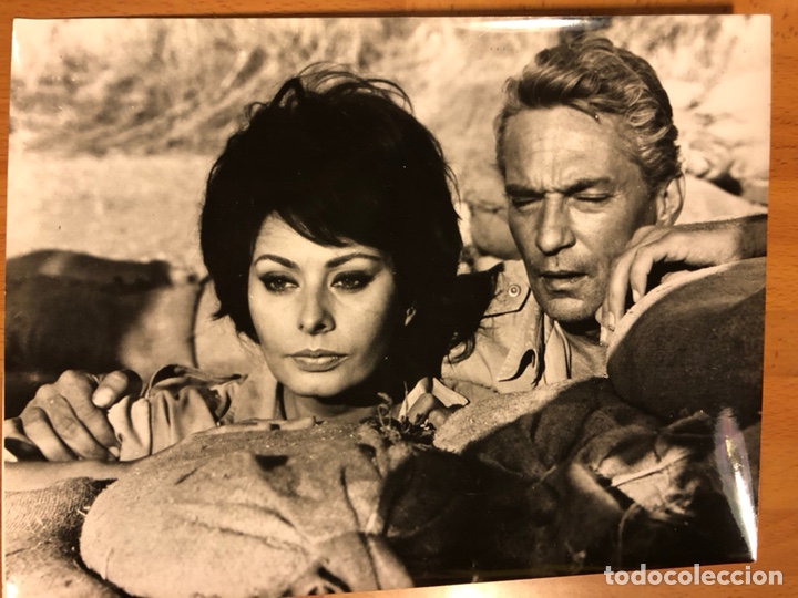 Cine: Foto original de Sof&iacute;a loren y peter finch 24x18 cm