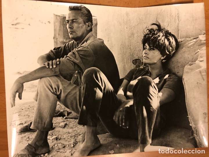 Cine: Foto original de Sof&iacute;a loren y peter finch 24x18 cm