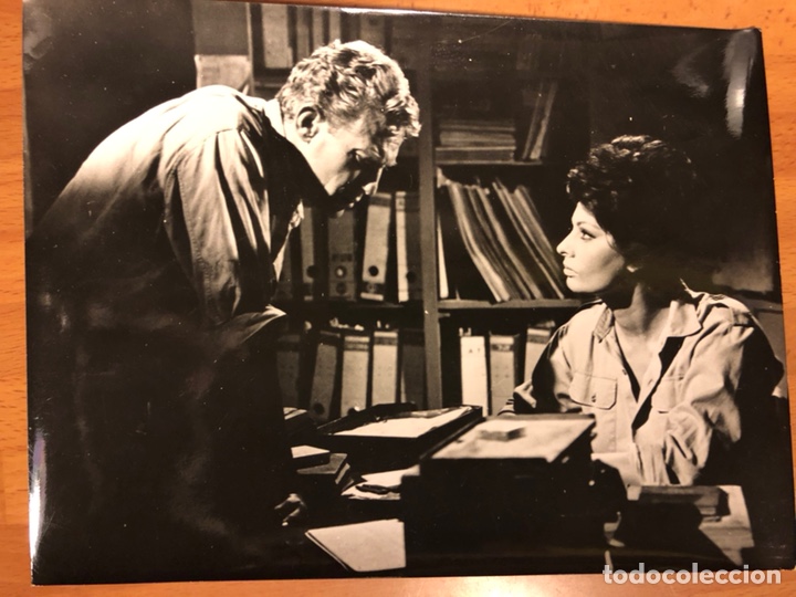 Cine: Foto original de Sof&iacute;a loren y peter finch 24x18 cm