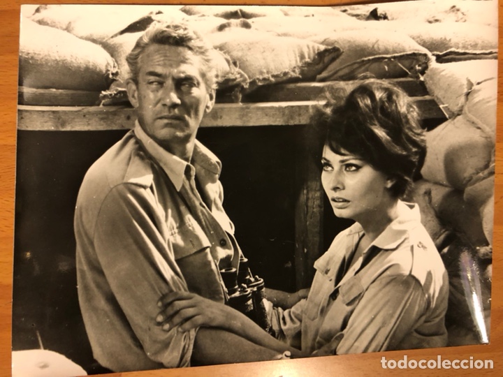 Cine: Foto original de Sof&iacute;a loren y peter finch 24x18 cm