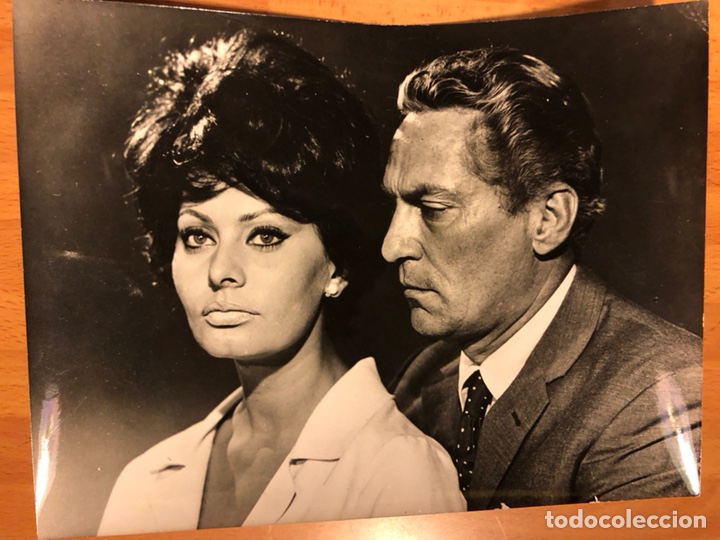 Cine: Foto original de Sof&iacute;a loren y peter finch 24x18 cm