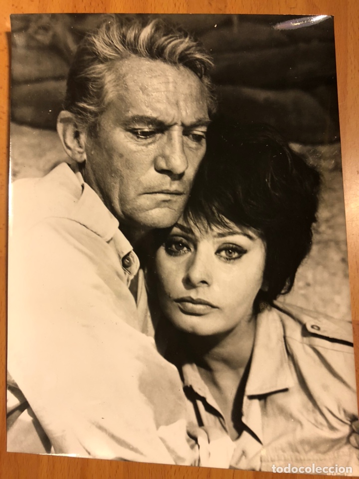 Cine: Foto original de Sof&iacute;a loren y peter finch 24x18 cm
