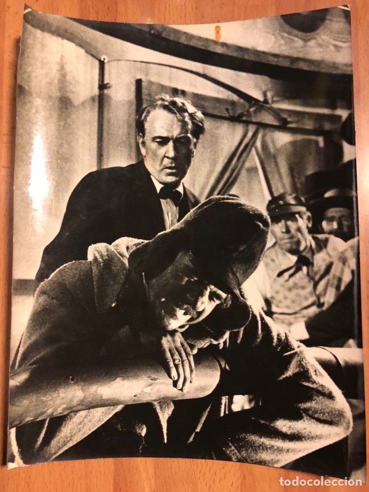 Cine: Foto original el &aacute;rbol del ahorcado gary cooper 24 x 18 cm