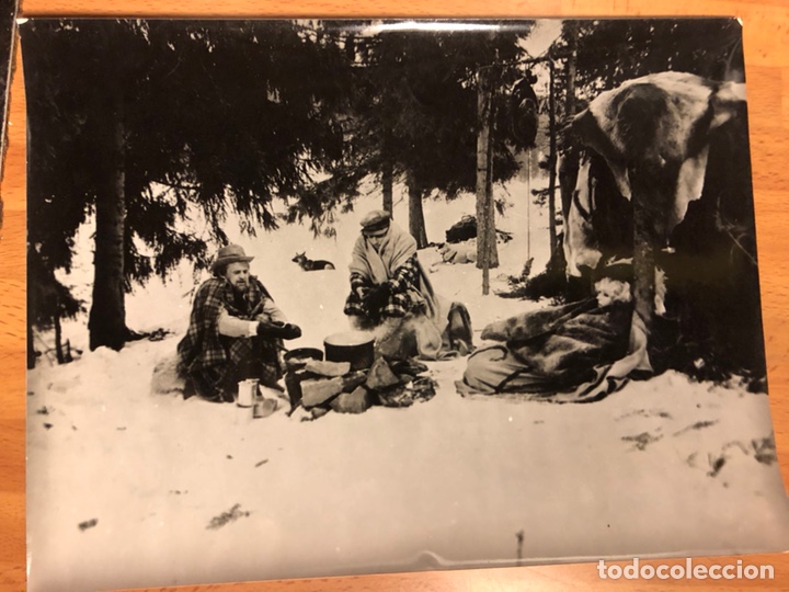 Cine: Foto original de charlton heston en la selva blanca 24x18 cm