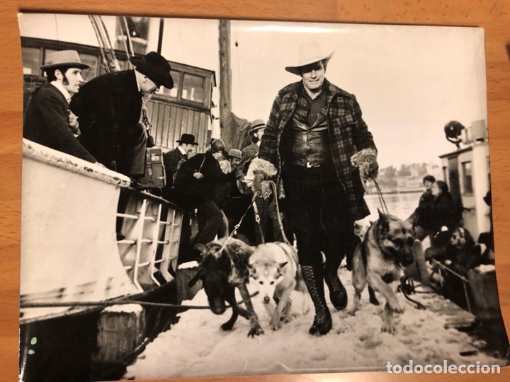 Cine: Foto original de charlton heston en la selva blanca 24x18 cm