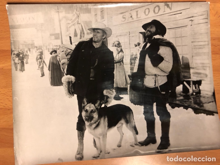 Cine: Foto original de charlton heston en la selva blanca 24x18 cm