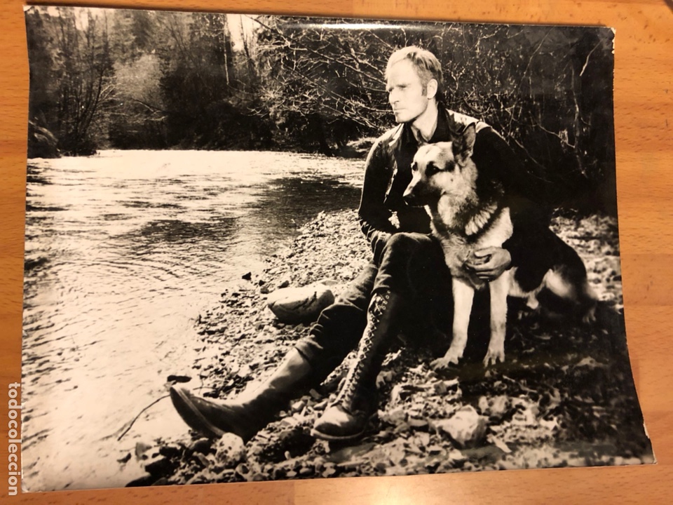 Cine: Foto original de charlton heston en la selva blanca 24x18 cm