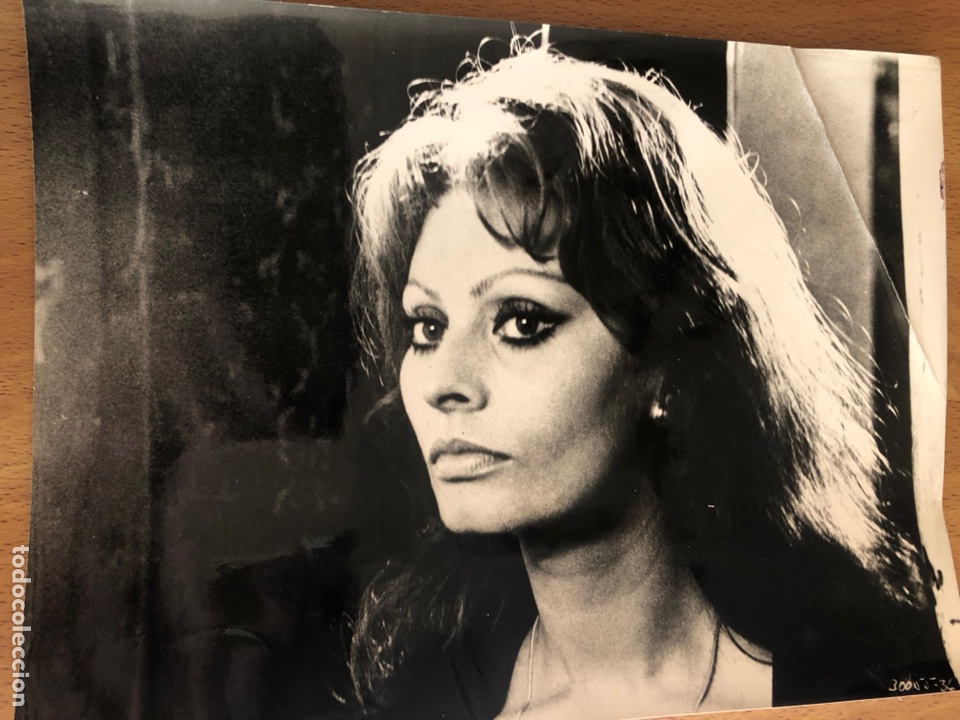 Cine: Foto original 24x18 cm sofia Sophia Loren en mortadela