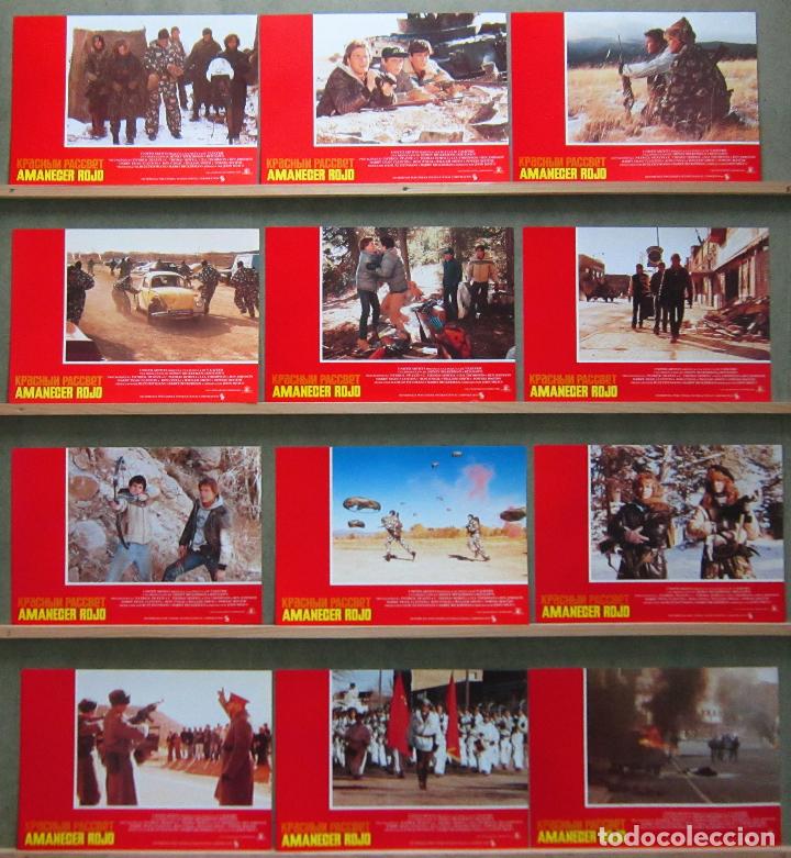 Cine: QT20 AMANECER ROJO PATRICK SWAYZE CHARLIE SHEEN SET COMPLETO 12 FOTOCROMOS ORIGINAL ESTRENO
