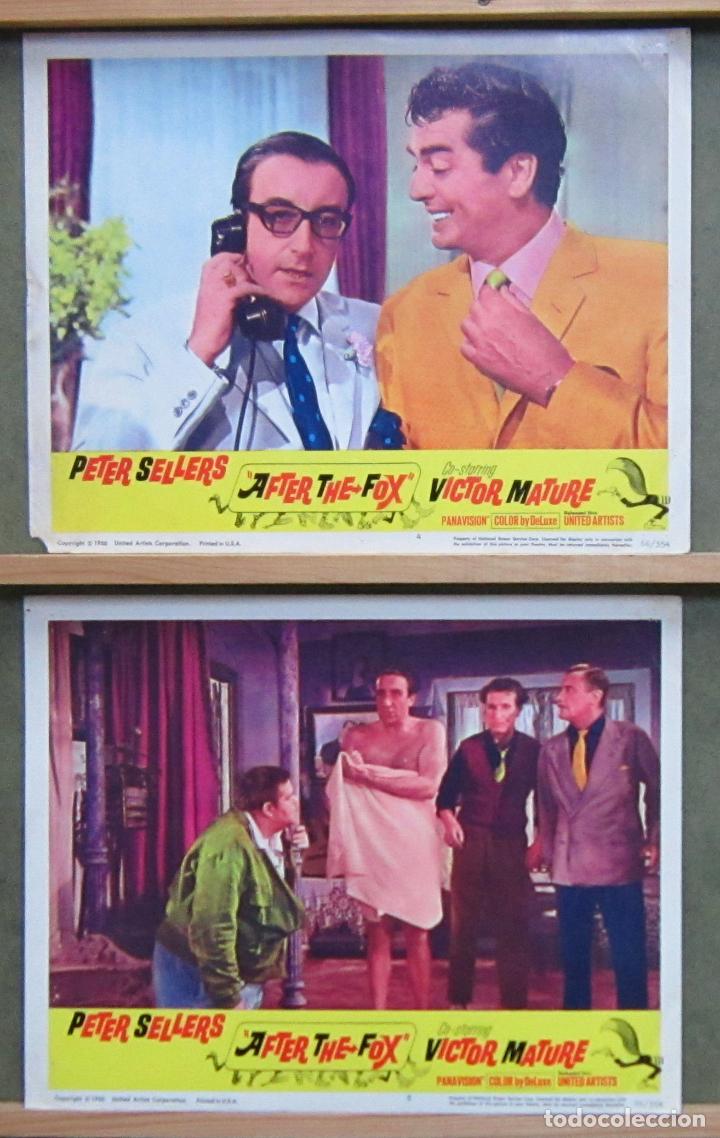 Cine: ZJ66 TRAS LA PISTA DEL ZORRO PETER SELLERS VICTOR MATURE 2 FOTOCROMOS LOBBY CARDS ORIGINAL AMERICANO