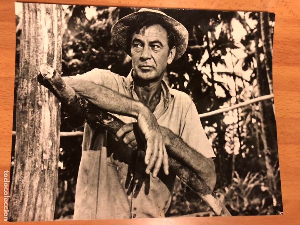 Cine: Foto original 21x16,5 cm retorno al para&iacute;so.Gary Cooper